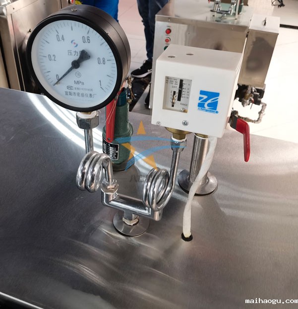 燃气蒸汽发生器实拍图