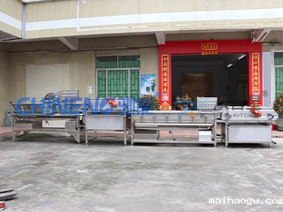 大型果蔬涡流清洗线实拍图