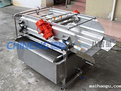 大型果蔬涡流清洗线实拍图