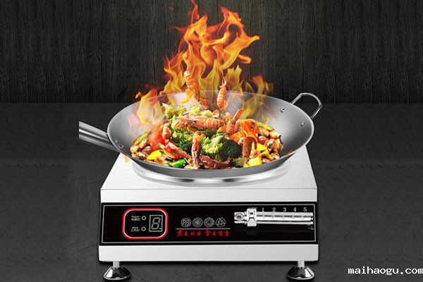 商用电磁炉哪个牌子好用