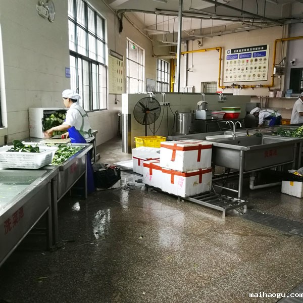 东莞大岭山第二小学厨房食材清洗区